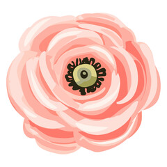 Pink flower illustration blossom floral vector