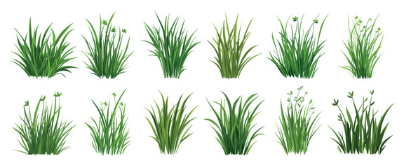 Lush green grass vector collection, vector element set