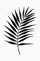 Obraz premium Plant illustration minimalist simple vector