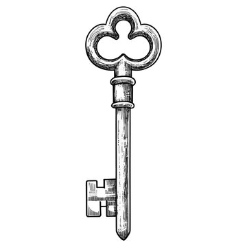 Key style illustration skeleton vector