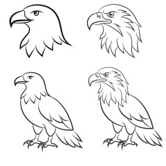 Eagle head set, black icon, mascot, eagle vector, birds vector illustration