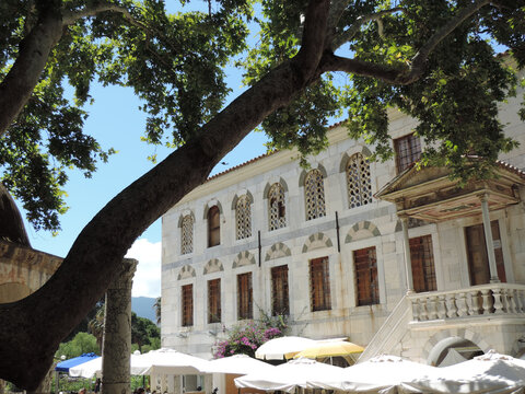 Im Schatten unter der Platane des Hippokrates, Kos
