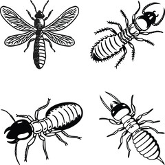 Termite bundle line art and illustrator eps
