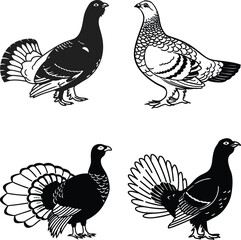 Black grouse bird bundle line art and illustrator eps