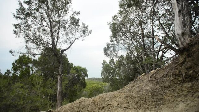 Mountain bike racing in Austin, Texas.