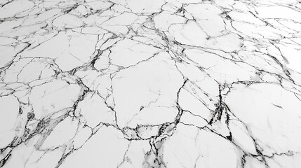 Fototapeta premium White marble texture with black veins.