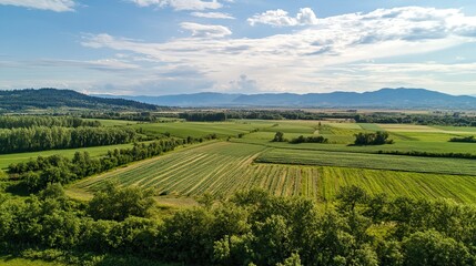 Fototapeta premium Aerial view of farmland valley, mountains background, sunny day, agricultural landscape.