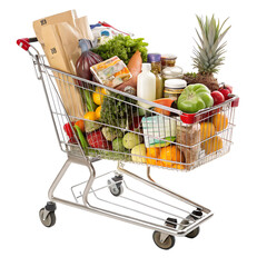 shopping cart with groceries