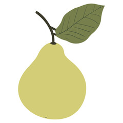 Guava illustration simple fruit vector