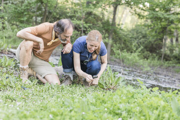 Fototapeta premium Biologists exploring nature with magnifying glass in madrid