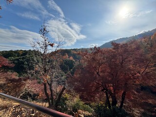 the silente of nature