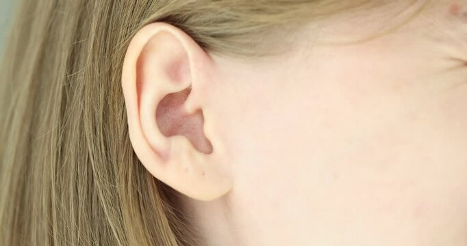 Understanding the structure and function of the human ear through detailed examination