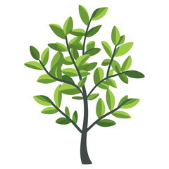A bush illustration green plant vector