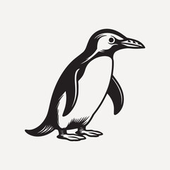 Obraz premium Penguin illustration cartoon animal vector