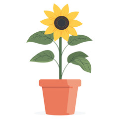 Obraz premium Sunflower potted plant illustration art terracotta vector