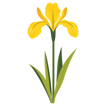 Iris clip art preview