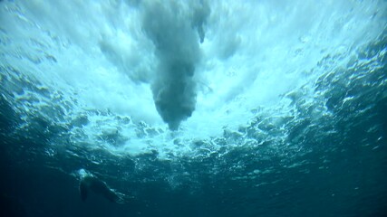 Witness the playful antics of young sea lions as they swim beneath a magnificent blue waterfall. This captivating display of nature highlights their agility and grace in the water