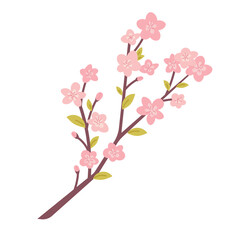 Long branch of cherry blossom, sakura on white background. Vector botanical element for Spring Festival, Hanami