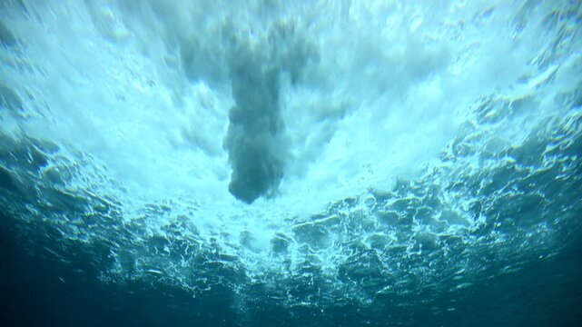 Watch as young sea lions frolic and play underwater, showcasing their agility and joy beneath a mesmerizing blue waterfall in their natural habitat