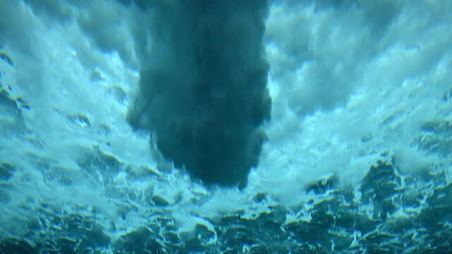 Witness a captivating display as young sea lions frolic and swim underwater underneath a magnificent waterfall