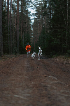 Woman running through the forest with a dogs
