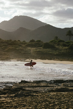 Surfer girl walking out of the sea with her surfboard in the sunset