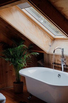 Relaxing bath with bubbles and a lush green plant in the background.
