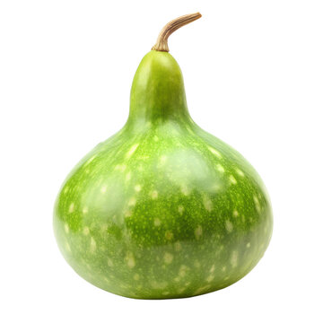 Bottle gourd calabash isolated on transparent background