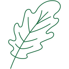 Hand Drawn Aesthetic Leaves