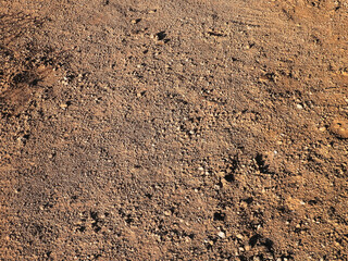Brown sand as background.