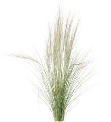 Fototapeta premium Grass, Turf, Lawn, Bush, Flowers Overlay