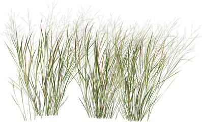 Grass, Turf, Lawn, Bush, Flowers Overlay