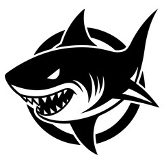 shark illustration