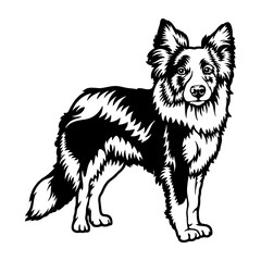 Border Collie Dog Breed - Pet Vector Cut file, Dog Silhouette Stencil - Cricut file