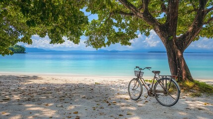 Obraz premium A bicycle resting on white sand beneath towering coconut trees, with turquoise sea waves in the background