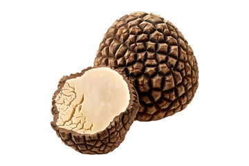 Fresh summer truffles Burgundy isolated on white transparent background, great for culinary and gourmet themes.