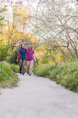 Fototapeta premium Two hikers walking in nature on a sunny day