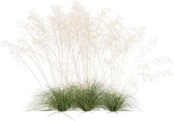 Grass, Turf, Lawn, Bush, Flowers Overlay