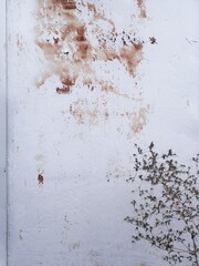 Vertical detail of bright rusty door with a flower
