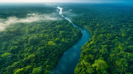 Gardinen Stunning aerial view of the Amazon rainforest, showcasing a winding river cutting through a dense canopy. Lush green foliage and peaceful atmosphere. Amazing River Aerial View © Creative