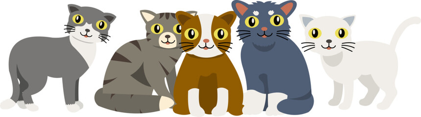 International Cat Day