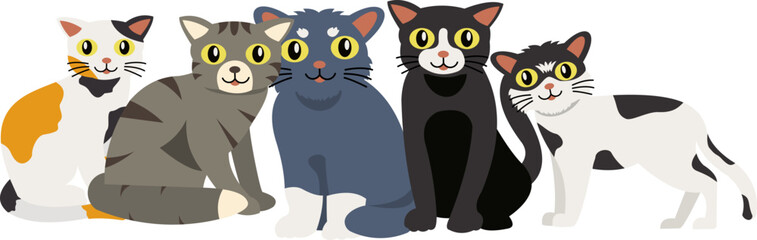 International Cat Day