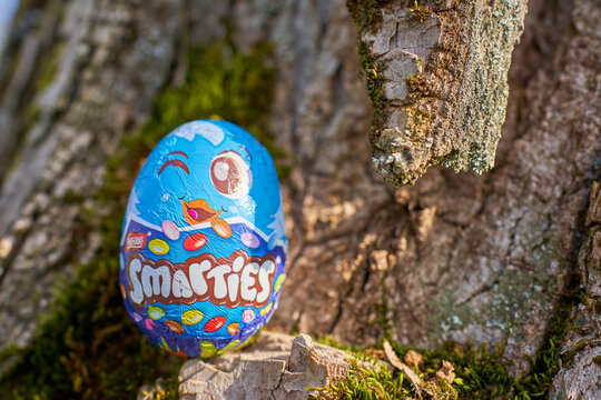 Colorful Smarties chocolate egg against blurred tree bark background, purple packaging with eyes, lips, stars, flowers.