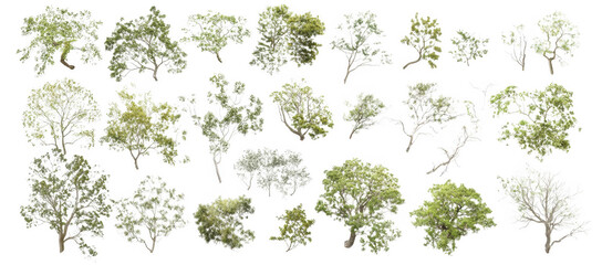 diverse collection of green trees isolated on transparency background showcases various shapes and sizes, highlighting nature beauty and diversity
