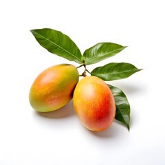 A beautiful green bush tree isolated on a white background