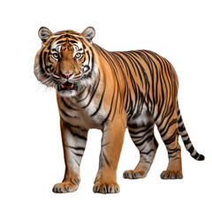 Fototapeta premium a 3D full-body tiger isolated on a transparent background
