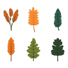 Element Set of Green Orange Leaf Leaves Foliage Natural Plant in Autumn Fall Season
