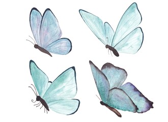 A set of watercolor illustrations of blue butterflies