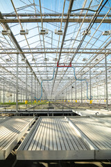 Harvest completed empty pallets in greenhouse. Signal end of crop cycle, ready for next phase in streamlined farming and garden supply, sustainable technology, horticulture practice and agriculture