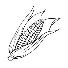 Corn